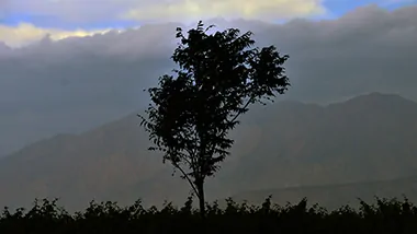 Cafayate