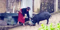 Indigenous Ixil people