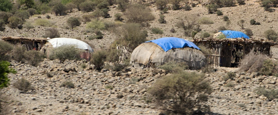 Indigenous Afar' people