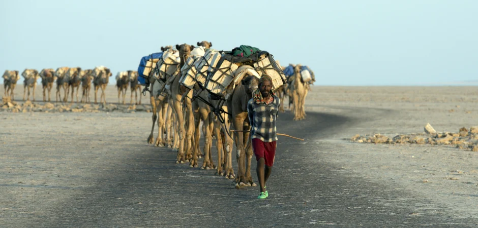 Indigenous Afar' people