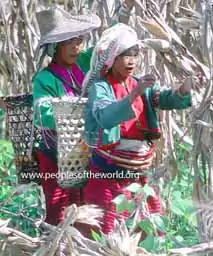 Indigenous Palaung people