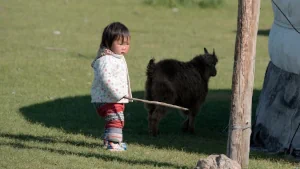 indigenous peoples news archive