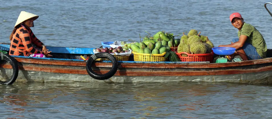 tropical fruit on the Mekong