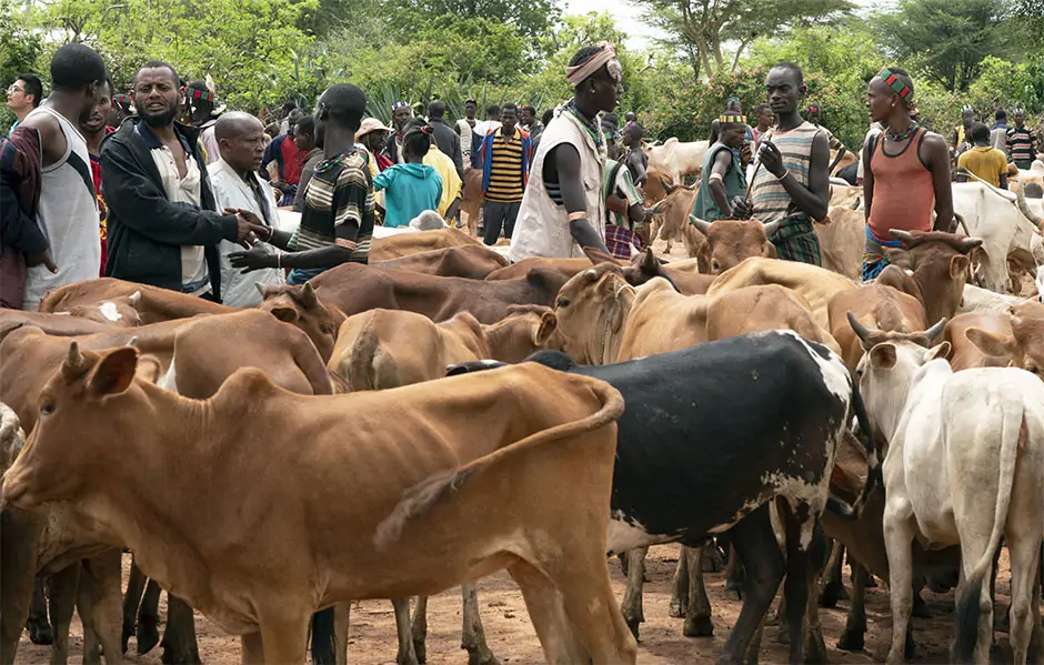 Omo Valley