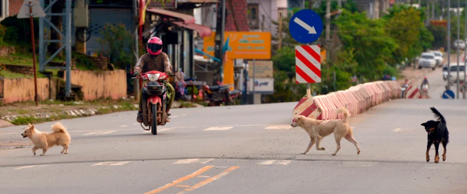 Laos